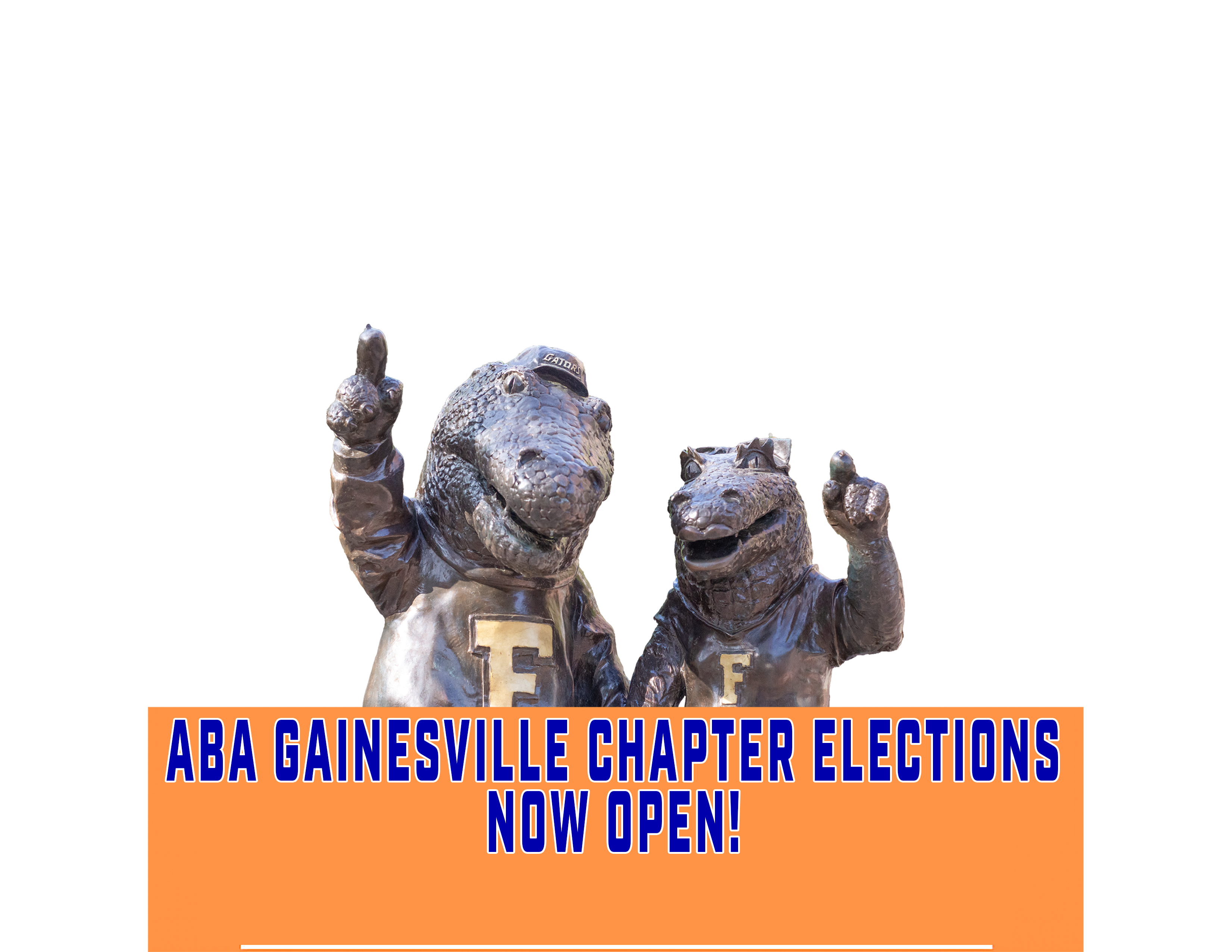 GNV Elections template 2