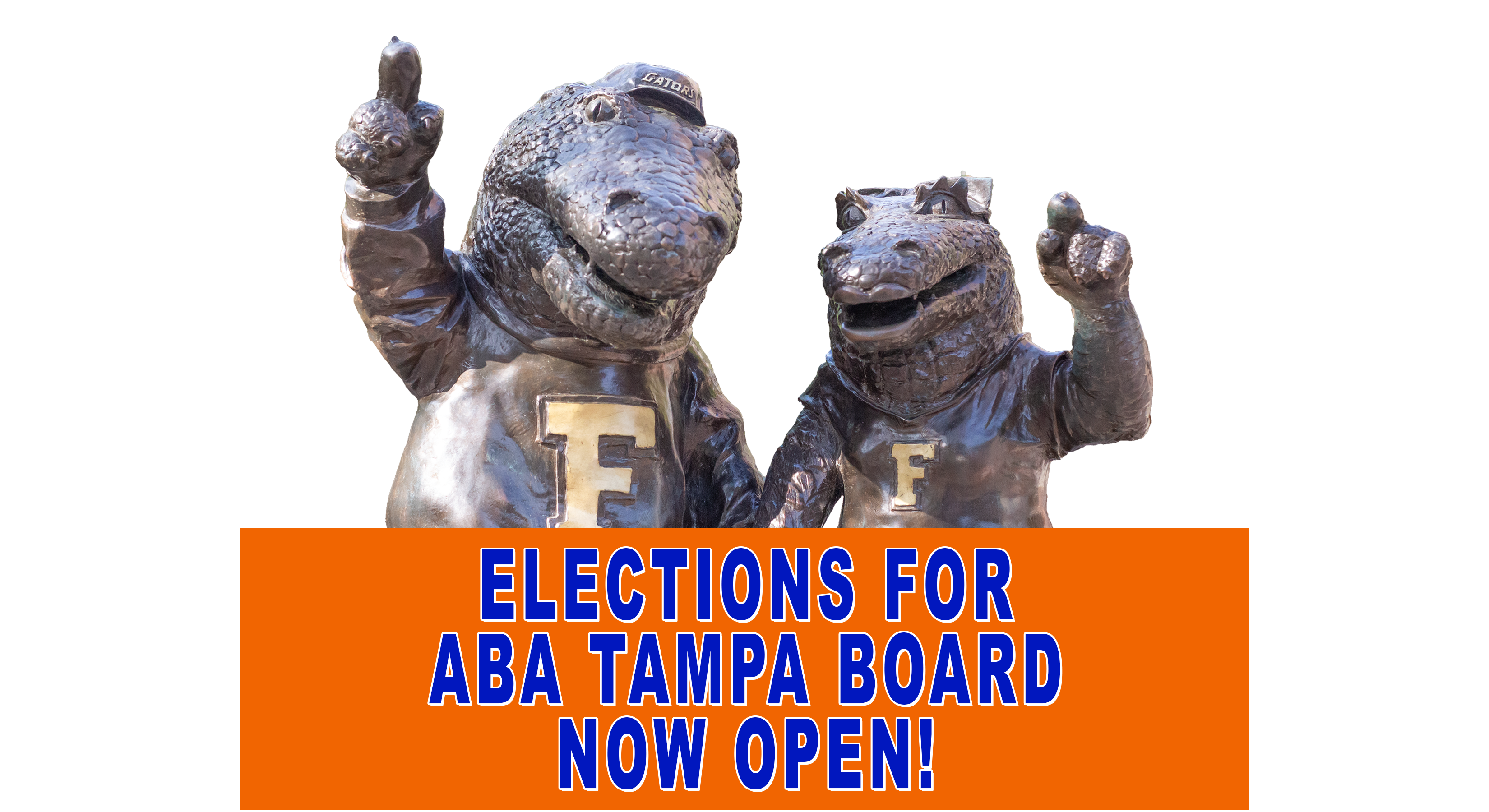 Tampa Elections template